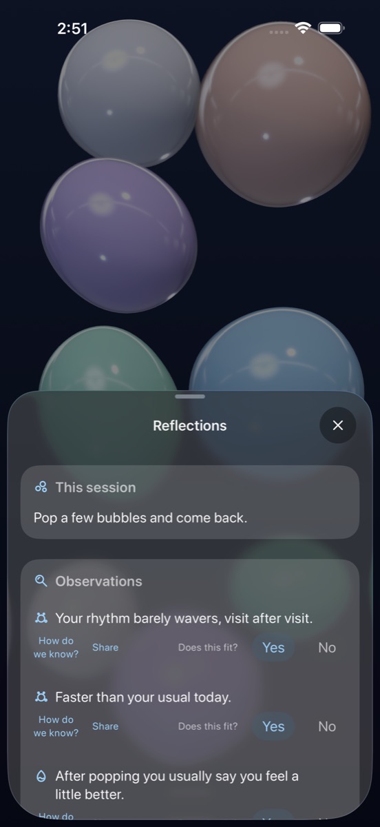 Reflections sheet with observations